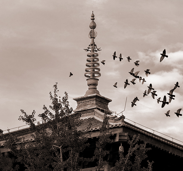 诚挚邀请您参加即将举办的观影活动！让我们一起享受电影的魅力，度过一段轻松愉快的时光。