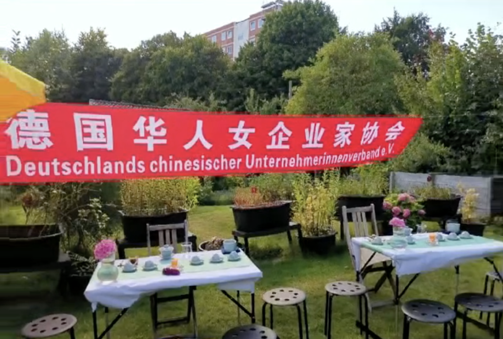 安心禅茶@女企业家协会